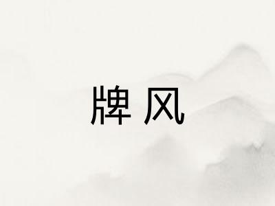 牌风
