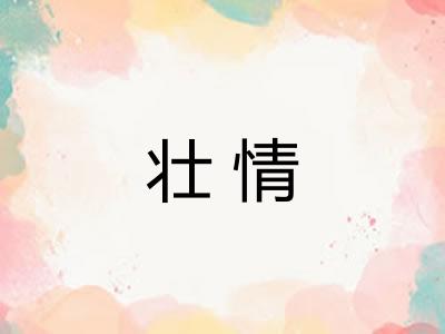 壮情