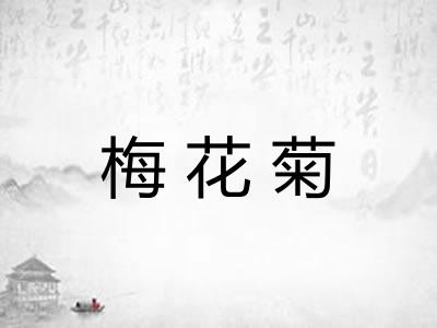 梅花菊