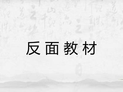 反面教材