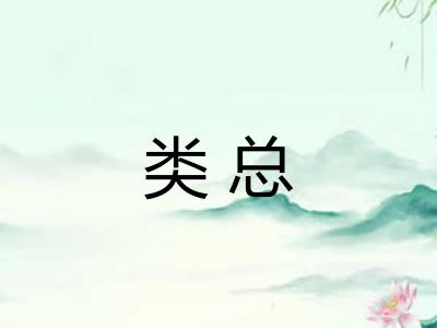 类总