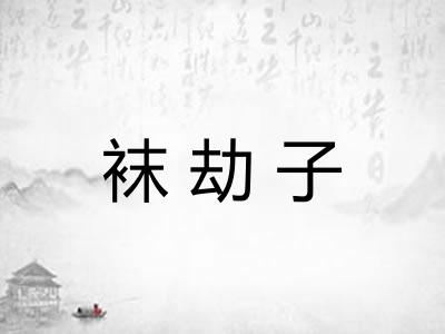 袜劫子