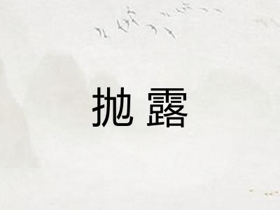 抛露