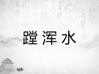 蹚浑水