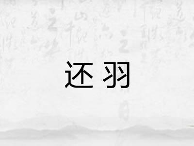 还羽