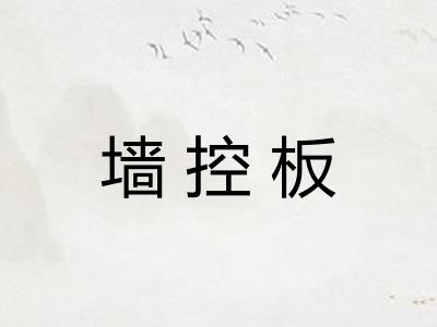 墙控板