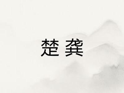 楚龚