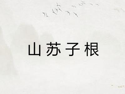 山苏子根