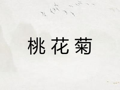 桃花菊