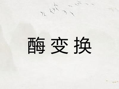 酶变换