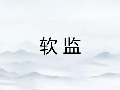 软监