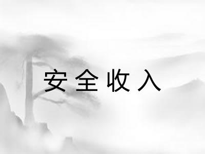 安全收入