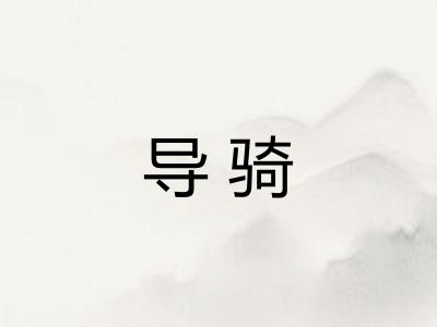 导骑