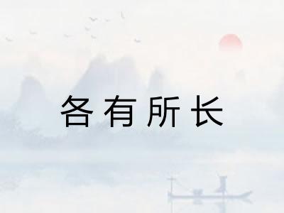 各有所长