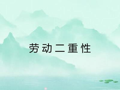 劳动二重性