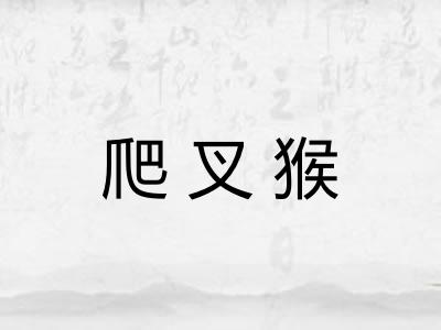 爬叉猴