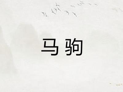 马驹