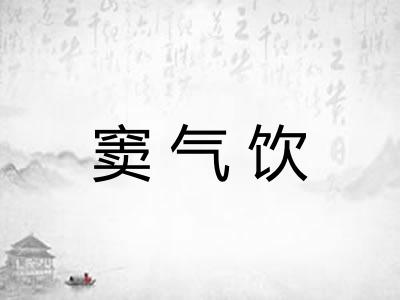 窦气饮