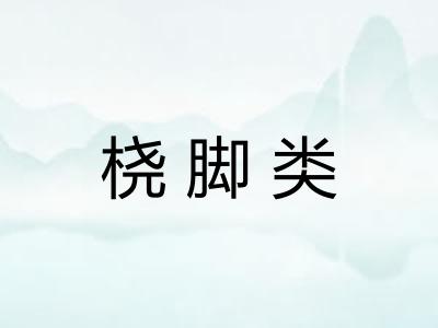 桡脚类
