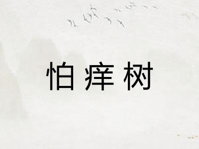 怕痒树