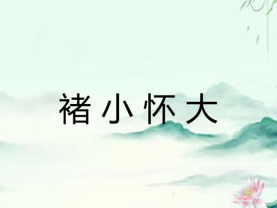 褚小怀大