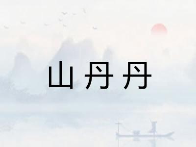 山丹丹