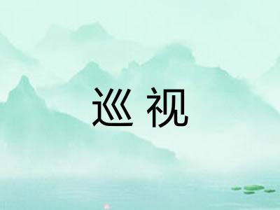 巡视