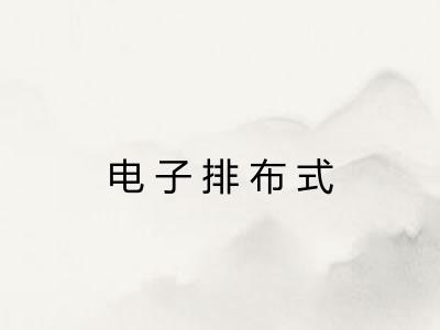 电子排布式