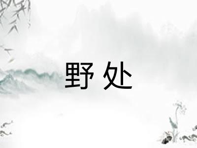 野处