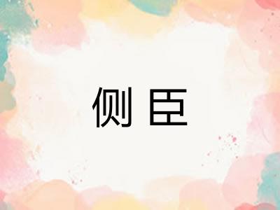 侧臣