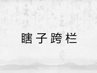 瞎子跨栏