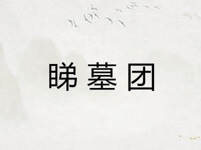 睇墓团