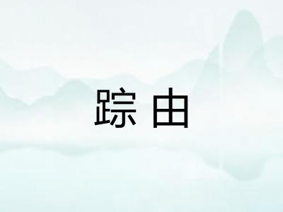 踪由