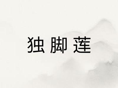 独脚莲