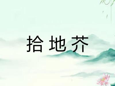 拾地芥