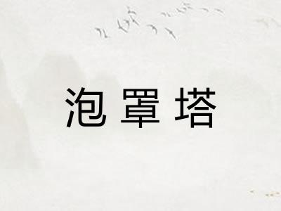泡罩塔