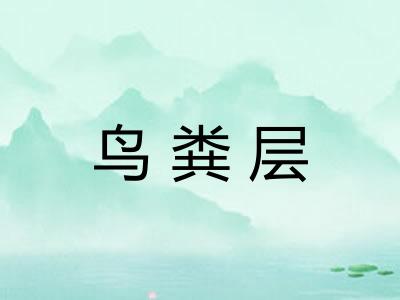 鸟粪层