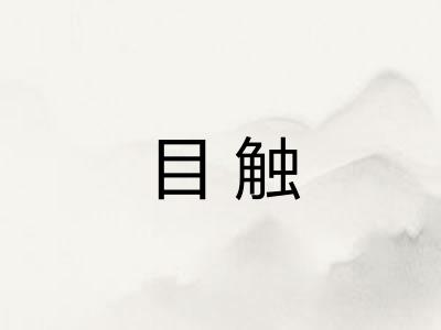 目触