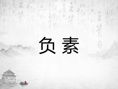 负素