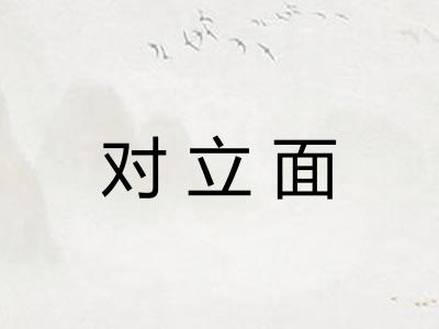 对立面