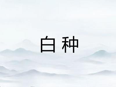 白种