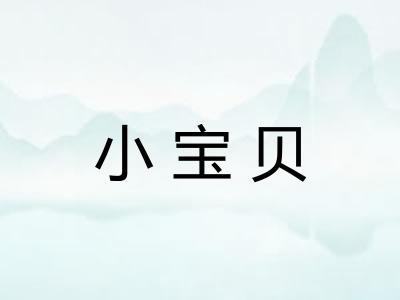 小宝贝