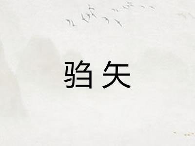 驺矢