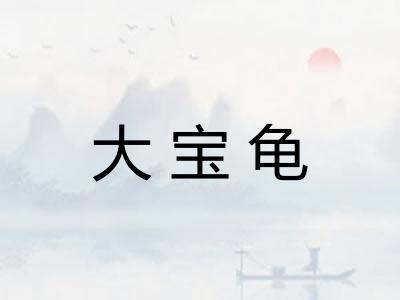 大宝龟
