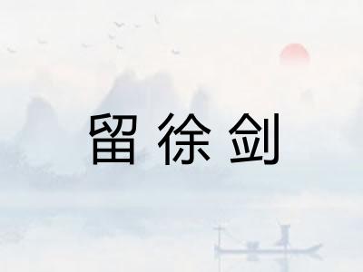 留徐剑