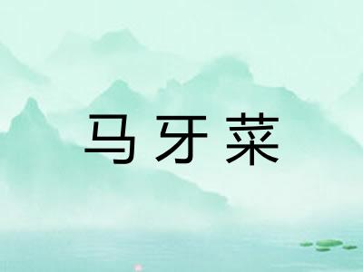 马牙菜