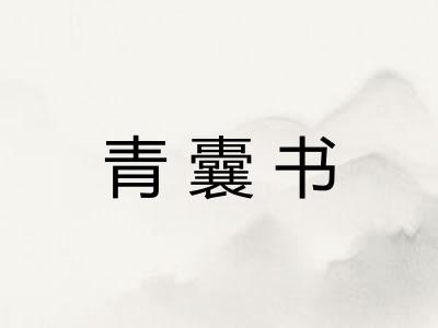 青囊书