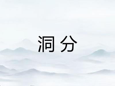 洞分