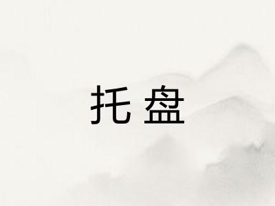 托盘