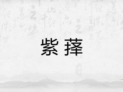 紫萚